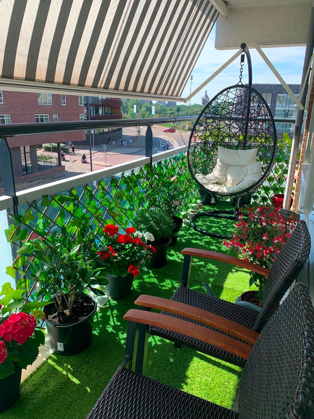 18 prachtige balkon- en tuinplanten | Vlissingen, Ophalen, Vaste plant, Overige soorten, Volle zon