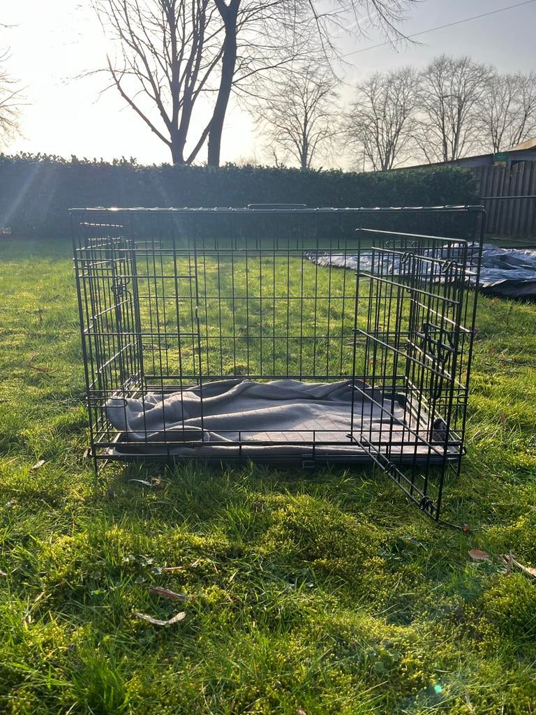 Banch, Dieren en Toebehoren, Ophalen of Verzenden, Zo goed als nieuw