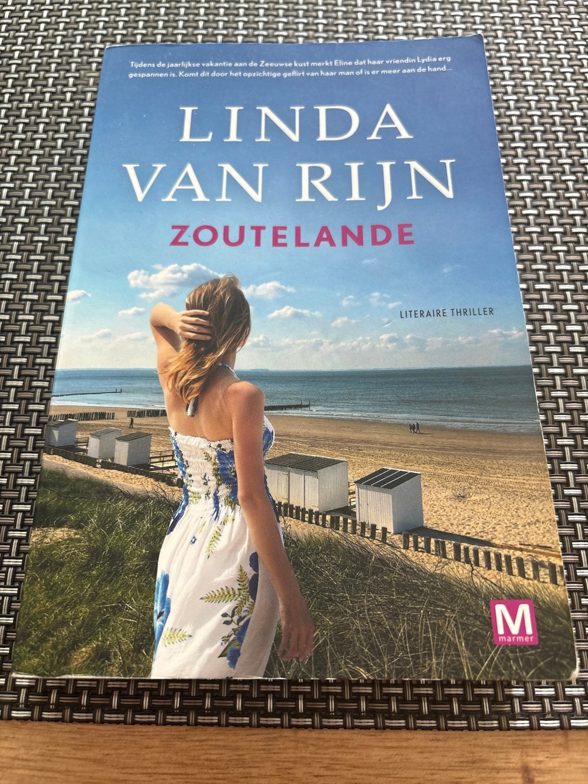 Zoutelande - Linda van Rijn (Literaire thriller), Boeken, Ophalen of Verzenden, Zo goed als nieuw, Nederland