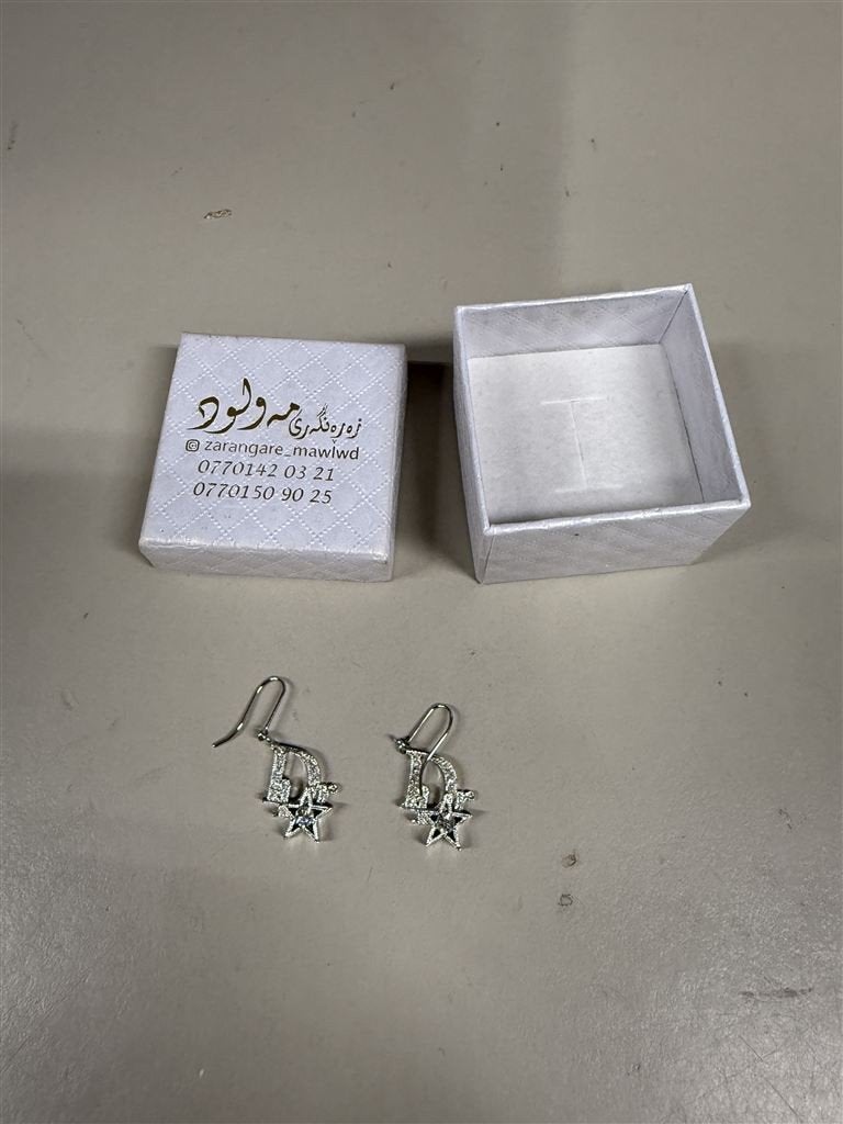 Christian Dior Logo Ster Oorbellen met Doosje, Sieraden, Tassen en Uiterlijk, Oorbellen, Ophalen of Verzenden, Zo goed als nieuw