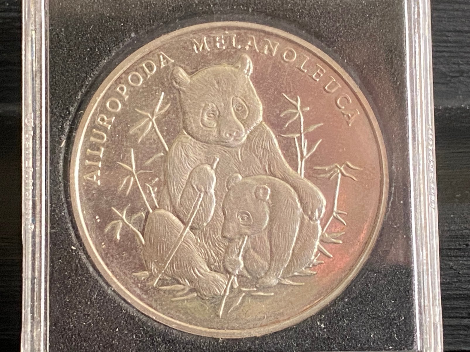 Zilveren  munt wwf, Ophalen of Verzenden, Duitsland, 10 euro