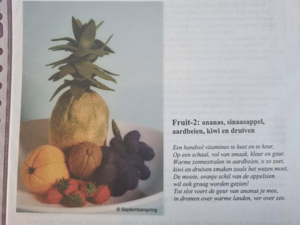 Viltpatroon atelier Septemberspring - Fruit 2, Ophalen of Verzenden, Nieuw, Boek of Patroon