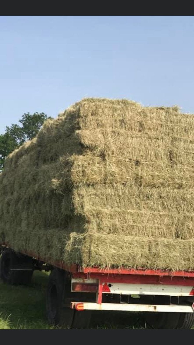 Hooi in kleine pakken te koop, Dieren en Toebehoren, Ophalen of Verzenden