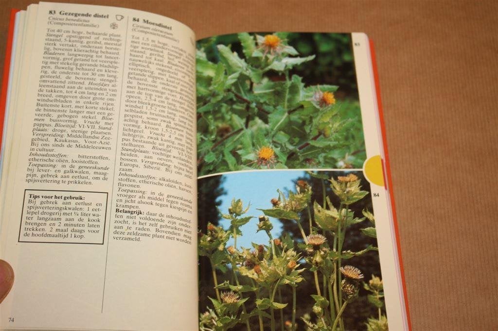 Geneeskrachtige plantengids in kleur - Thieme - Dieter Podle, Boeken, Natuur, Ophalen of Verzenden, Gelezen, Bloemen, Planten en Bomen