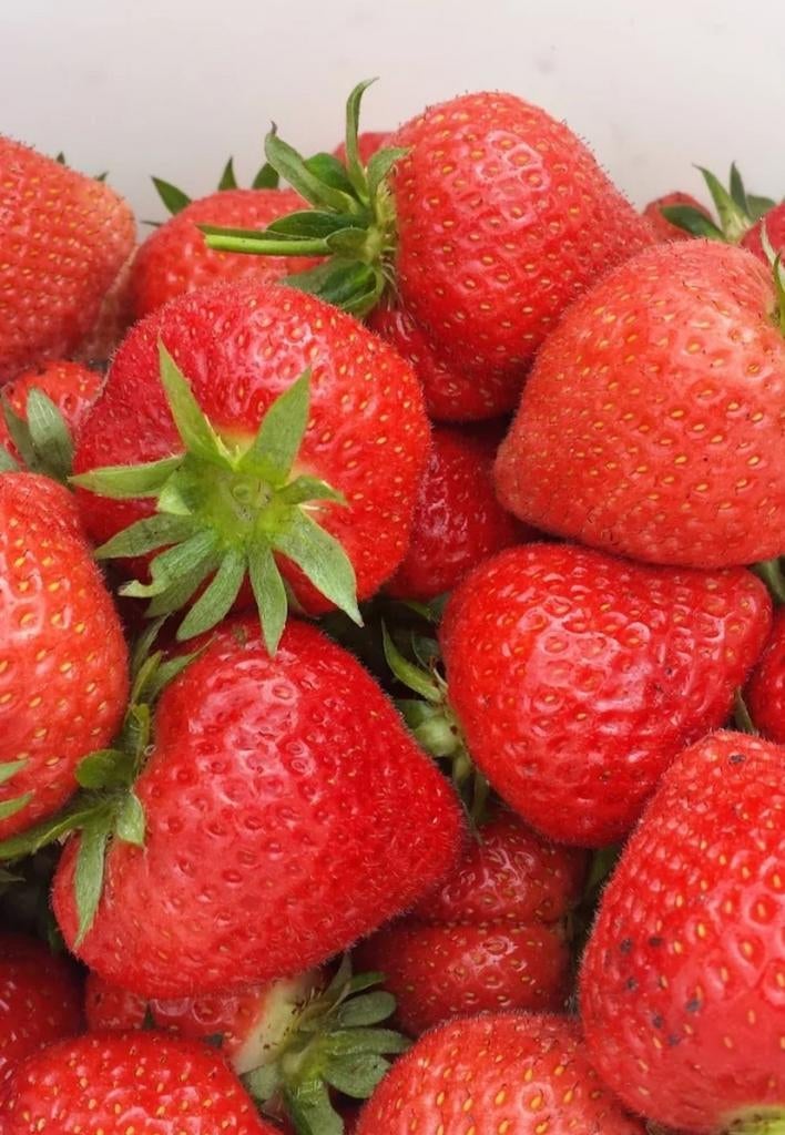 Aardbeien planten, Ophalen