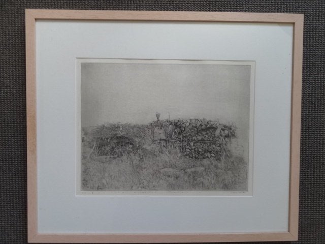 Ingelijste ets, Bijeneters van Charles Donker, Met tekst, Flora en Fauna, 1950 - 1999, Verzenden