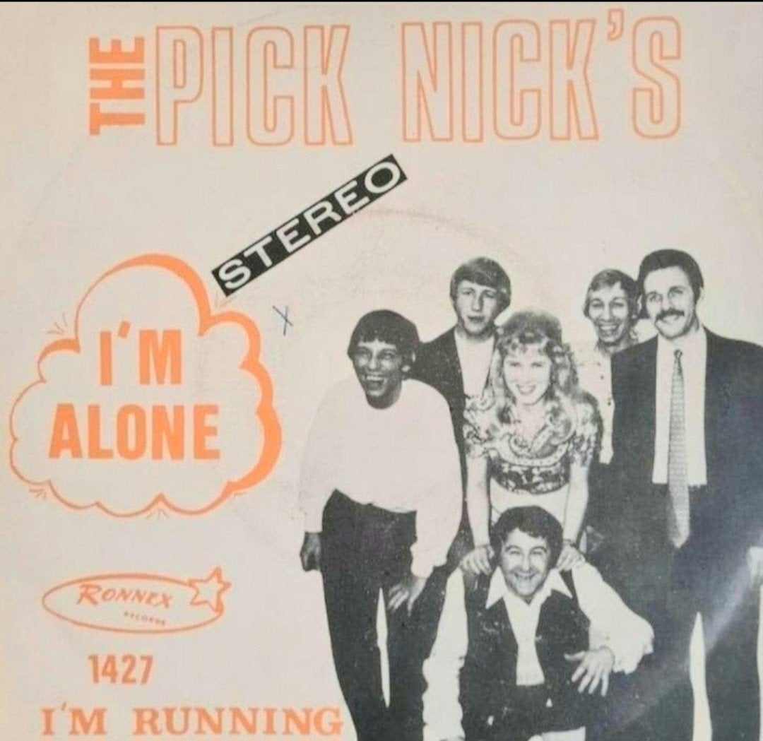 THE PICK NICKS  - I'M ALONE, Cd's en Dvd's, Ophalen of Verzenden, Gebruikt, Pop