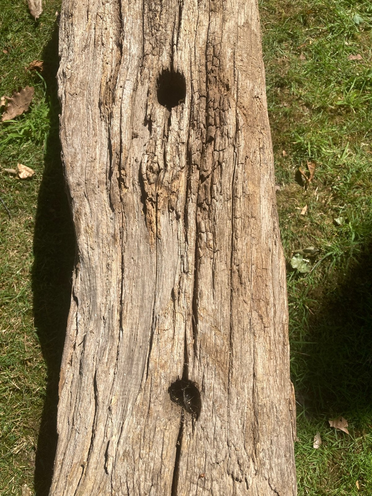 Decoratieve houten boomstam balk, Ophalen