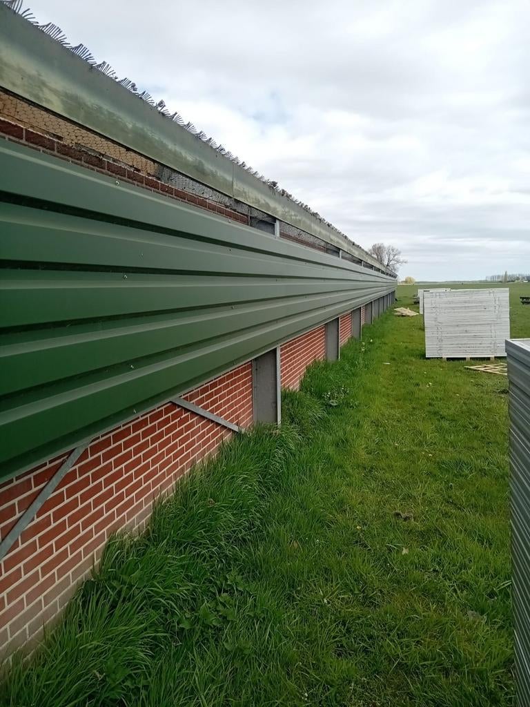 Damwandplaaten, Ophalen