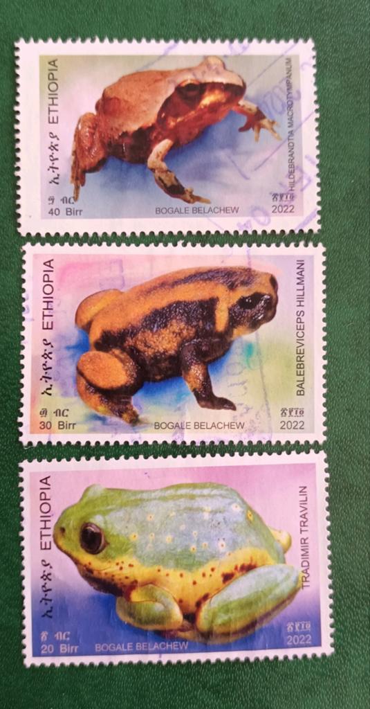 Ethiopie 2022 , 3 pzs kikkers, Verzenden, Overige landen, Gestempeld