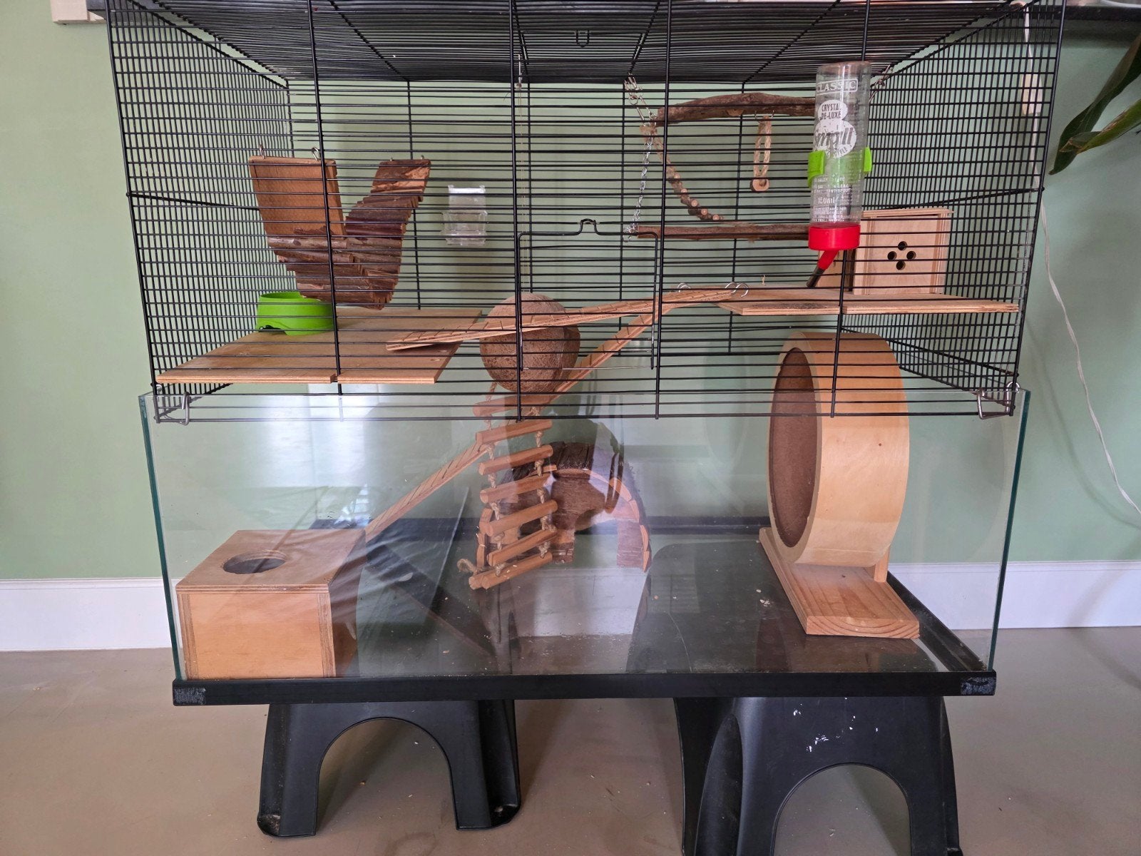 Mooi groot hamster of gerbil verblijf met toebehoren, Ophalen