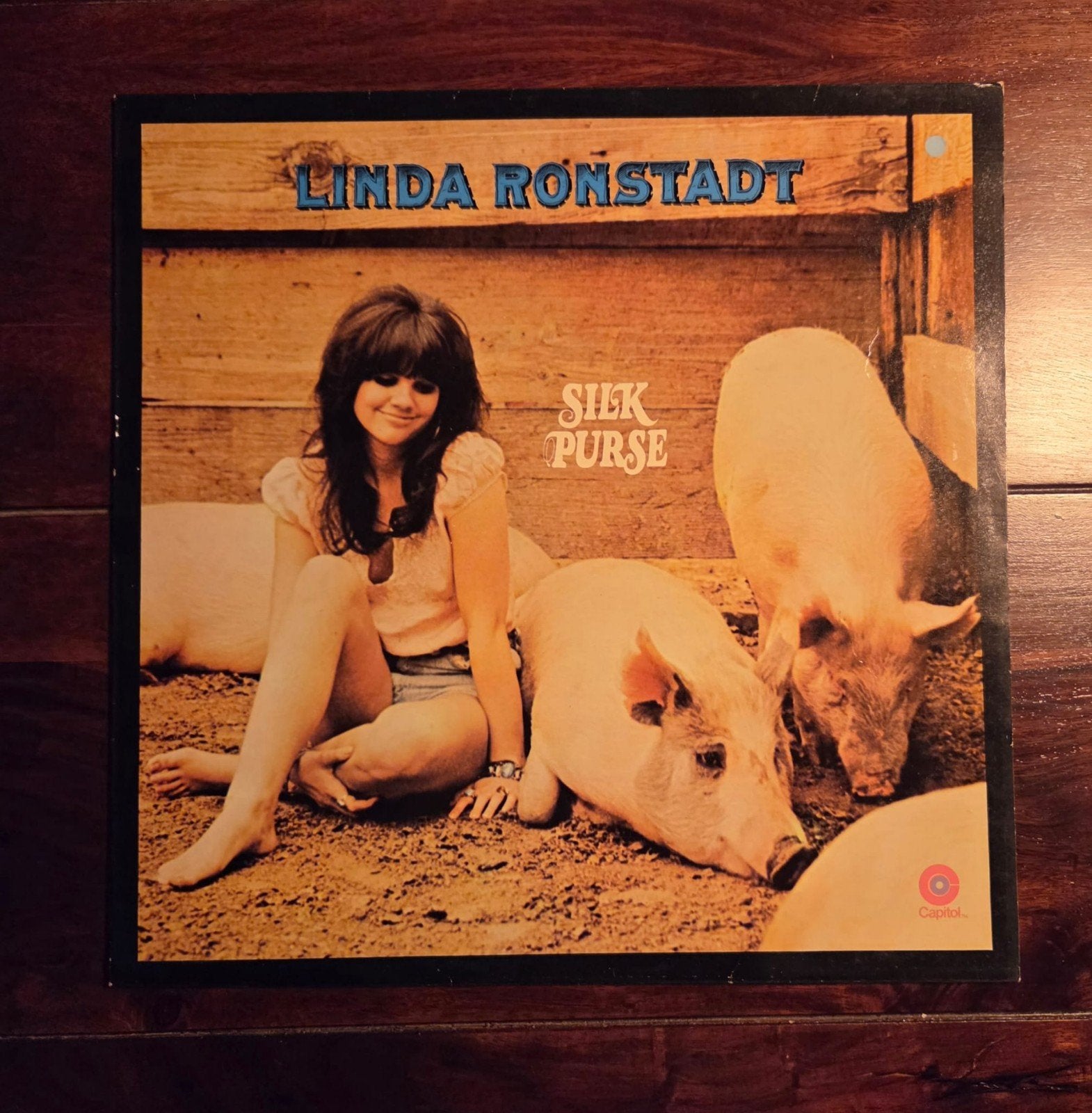 Linda ronstadt silk purse LP, Ophalen of Verzenden, LP