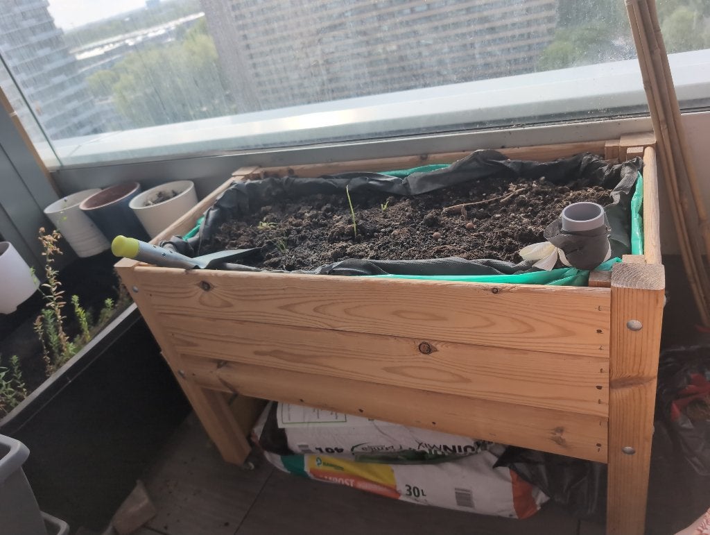 2 moestuinen (wicking beds), Tuin en Terras, Kweekspullen, Ophalen, Zo goed als nieuw, Kweekbak