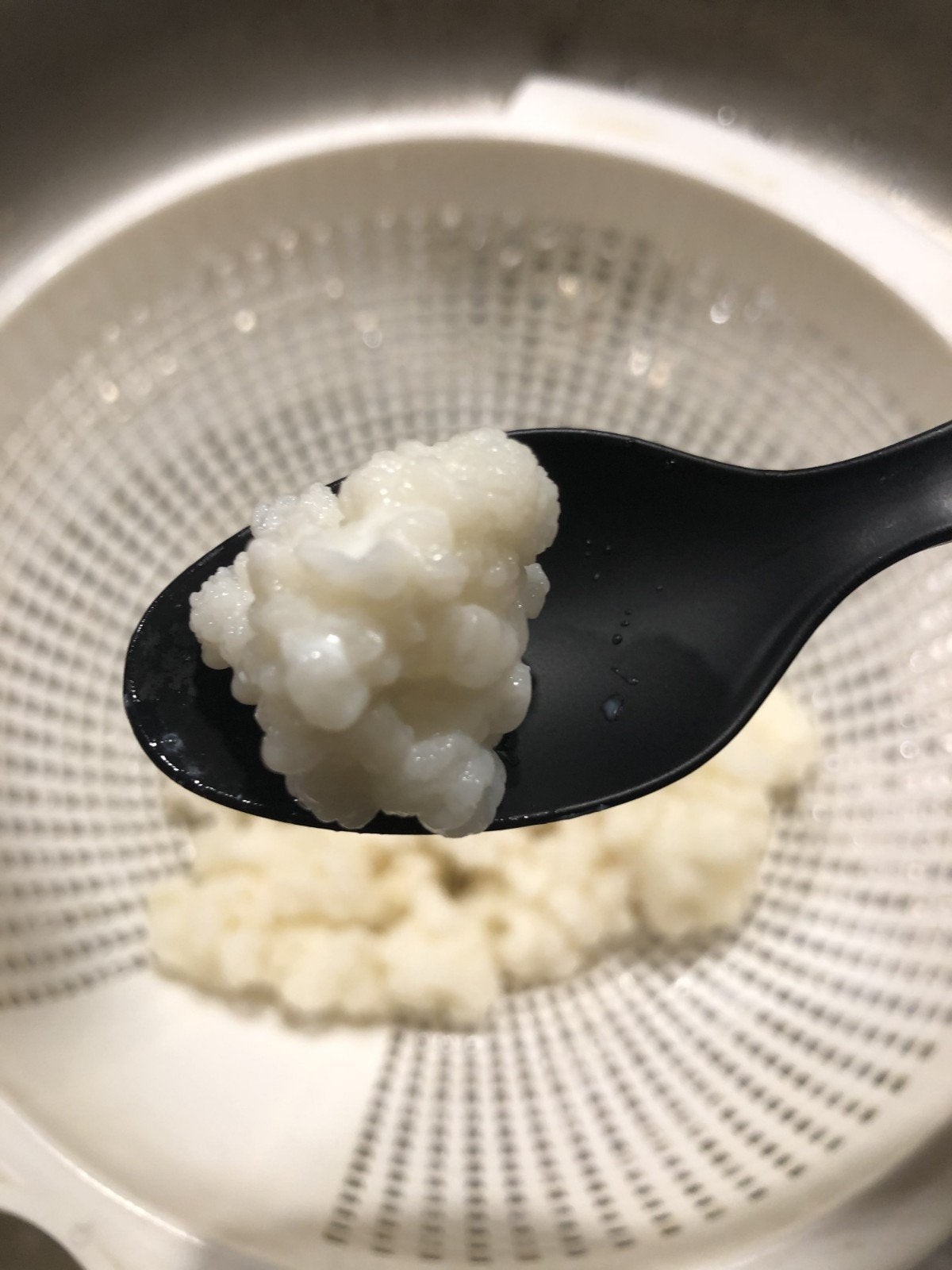 melkkefir korrels te ruil, Diversen, Levensmiddelen, Ophalen