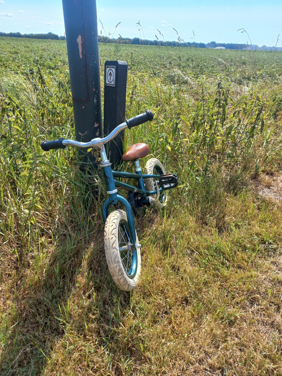 supermooie kinderfiets! (moet zsm weg), Ophalen, Terugtraprem, Gebruikt, Overige typen