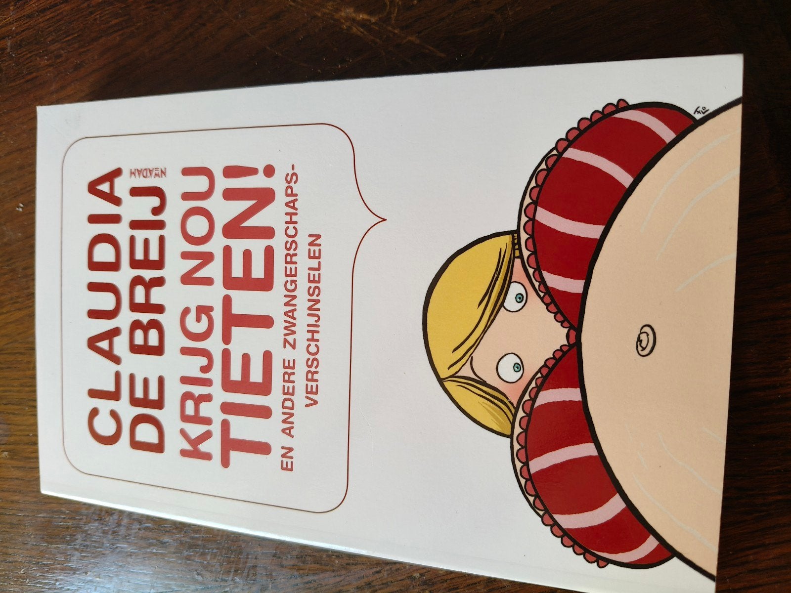Claudia de Breij - Krijg nou tieten! (Zwangerschapsboek), Ophalen of Verzenden, Zo goed als nieuw, Zwangerschap en Bevalling, Claudia de Breij