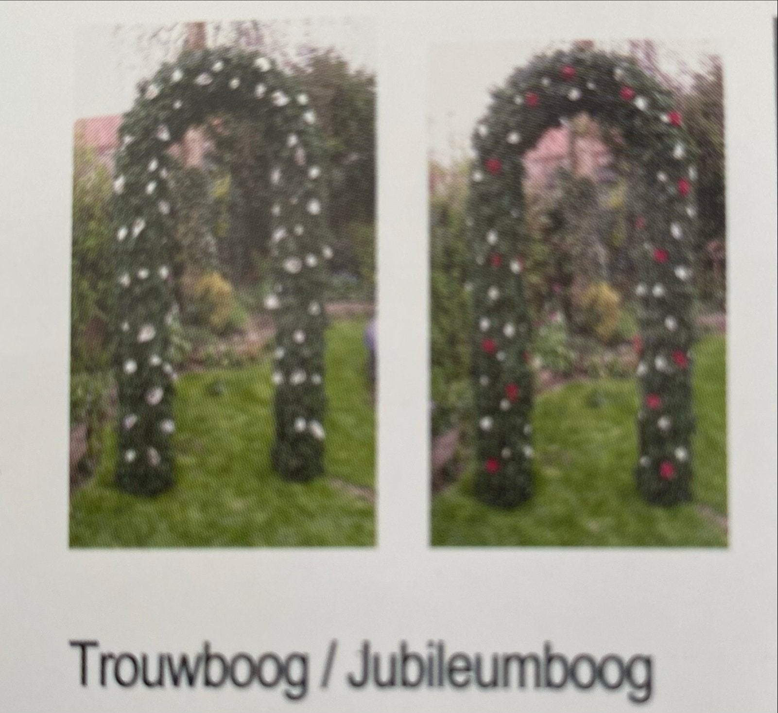 Trouwboog / Jubileumboog met groene guirlandes, Ophalen, Gebruikt, Versiering, Geboorte of Huwelijk