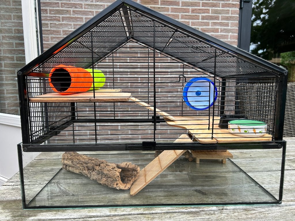 Knaagdierkooi Nolan, Dieren en Toebehoren, Kooi, Gebruikt, Minder dan 75 cm, Hamster