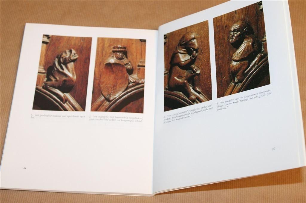 De Koorbanken Sint-Janskathedraal — A.M. Koldeweij, Ophalen of Verzenden, Gelezen