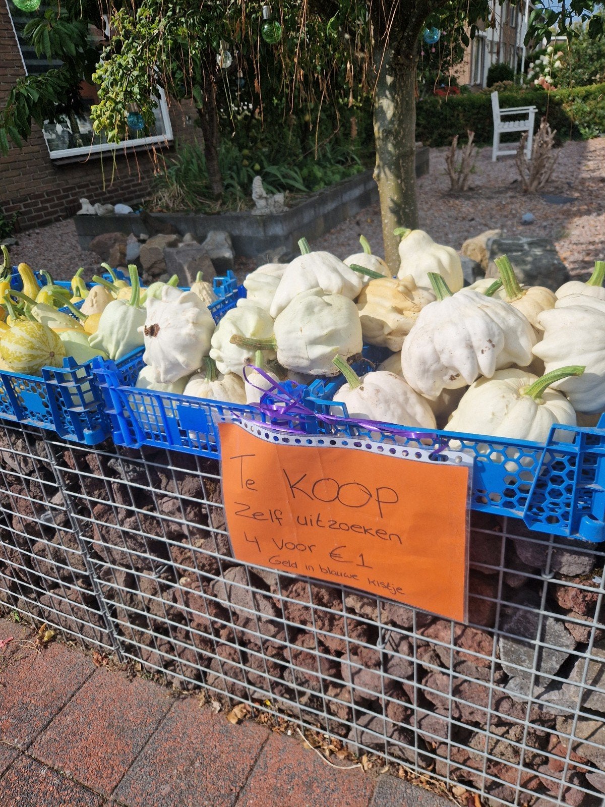 mooie kalebassen, kleine pompoenen, Ophalen, Nieuw