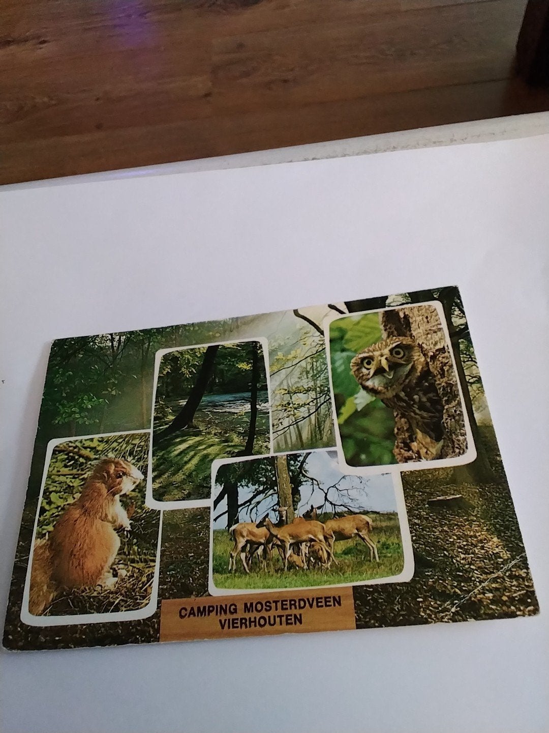 Ansichtkaart Camping Mosterdveen Vierhouten (Gelopen), Ophalen of Verzenden, 1960 tot 1980, Gelopen, Gelderland