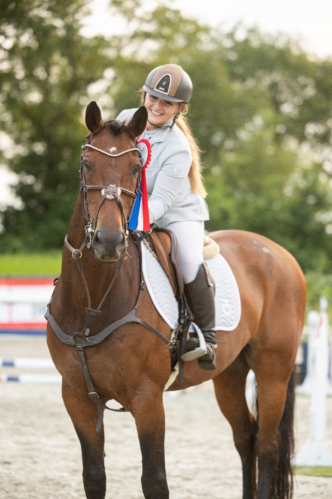 Brave Z/CCI2*  Eventing Allrounder 1.30m Springen, ZZ, Springpaard, Met stamboom, Ruin