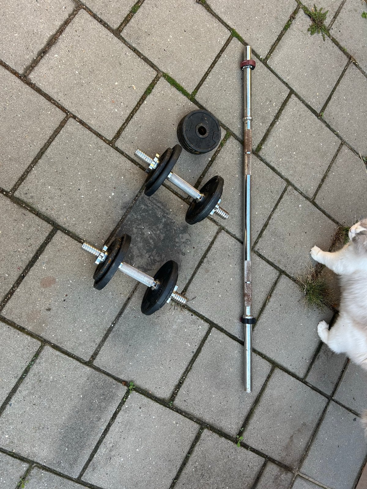 Halterset met stang en schijven, Sport en Fitness, Ophalen of Verzenden, Gebruikt, Armen, Halterset