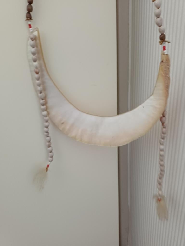 Traditionele ketting Kina Schelp, Papoea Nieuw Guinea, Beige, Ophalen of Verzenden, Zo goed als nieuw, Overige materialen