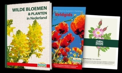 Wilde bloemen & planten in Nederland incl. Veldgids, Boeken, Ophalen of Verzenden, Nieuw, Bloemen, Planten en Bomen