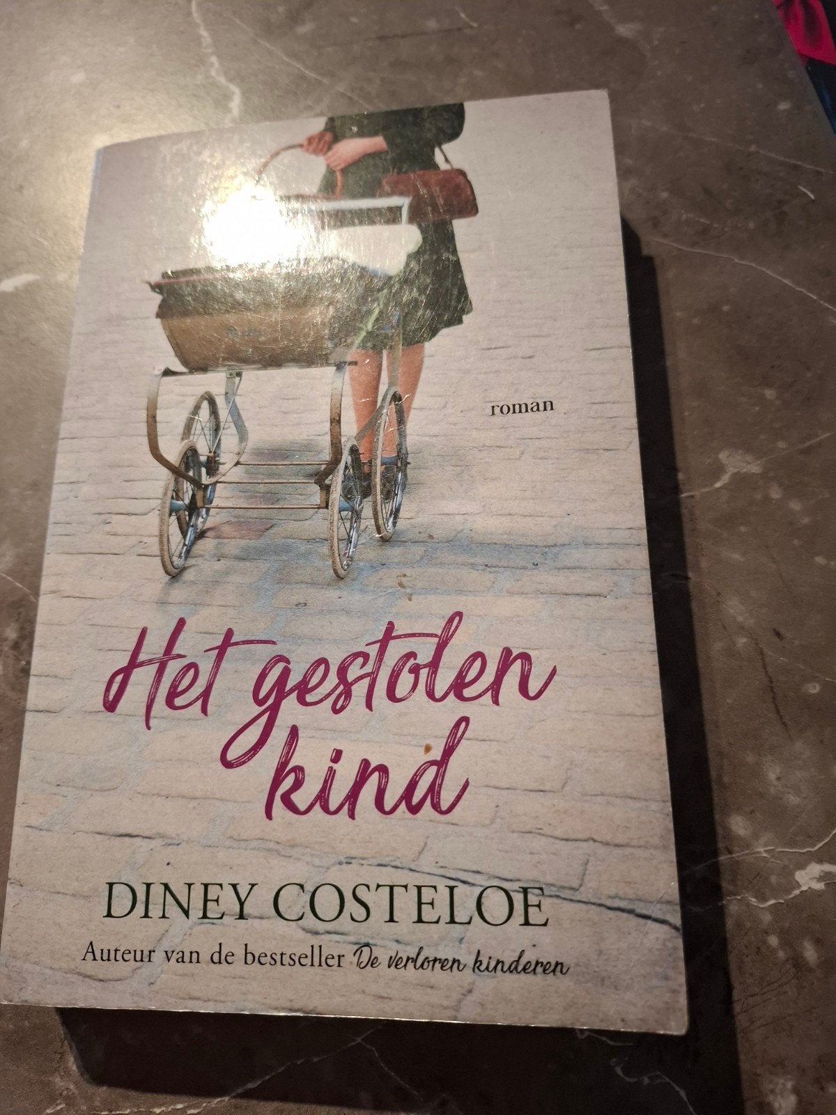 Het gestolen kind - Diney Costeloe (roman), Ophalen of Verzenden, Zo goed als nieuw, Diney Costeloe, Europa overig