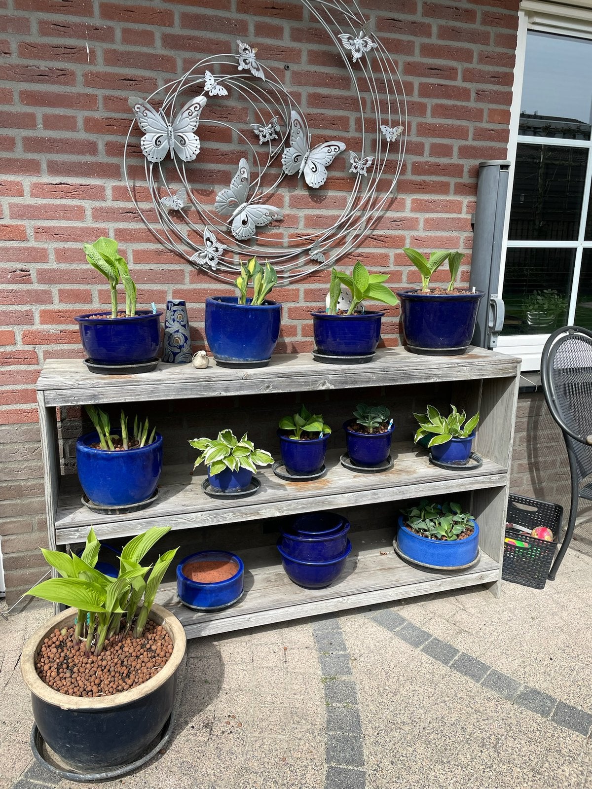 Tuinkasten, Ophalen, Overige soorten, Halfschaduw