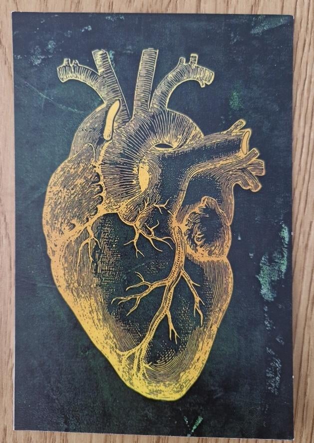 Menselijke Anatomie 12 hart Ansichtkaart, Verzenden, 1980 tot heden, Ongelopen, Overige thema's