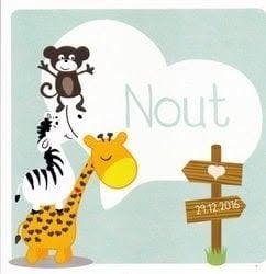Nout, Ophalen of Verzenden, 2000 tot heden, Geboortekaartje