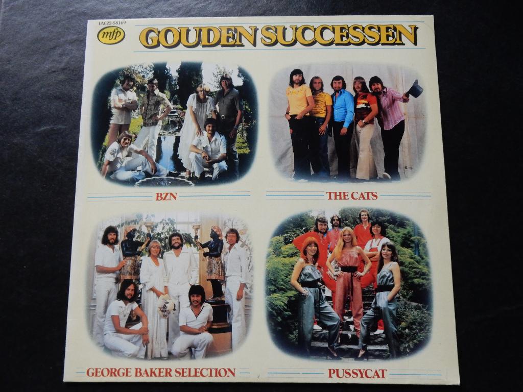 Gouden Successen - Various (LP), Ophalen of Verzenden, Gebruikt, 12 inch, Levenslied of Smartlap