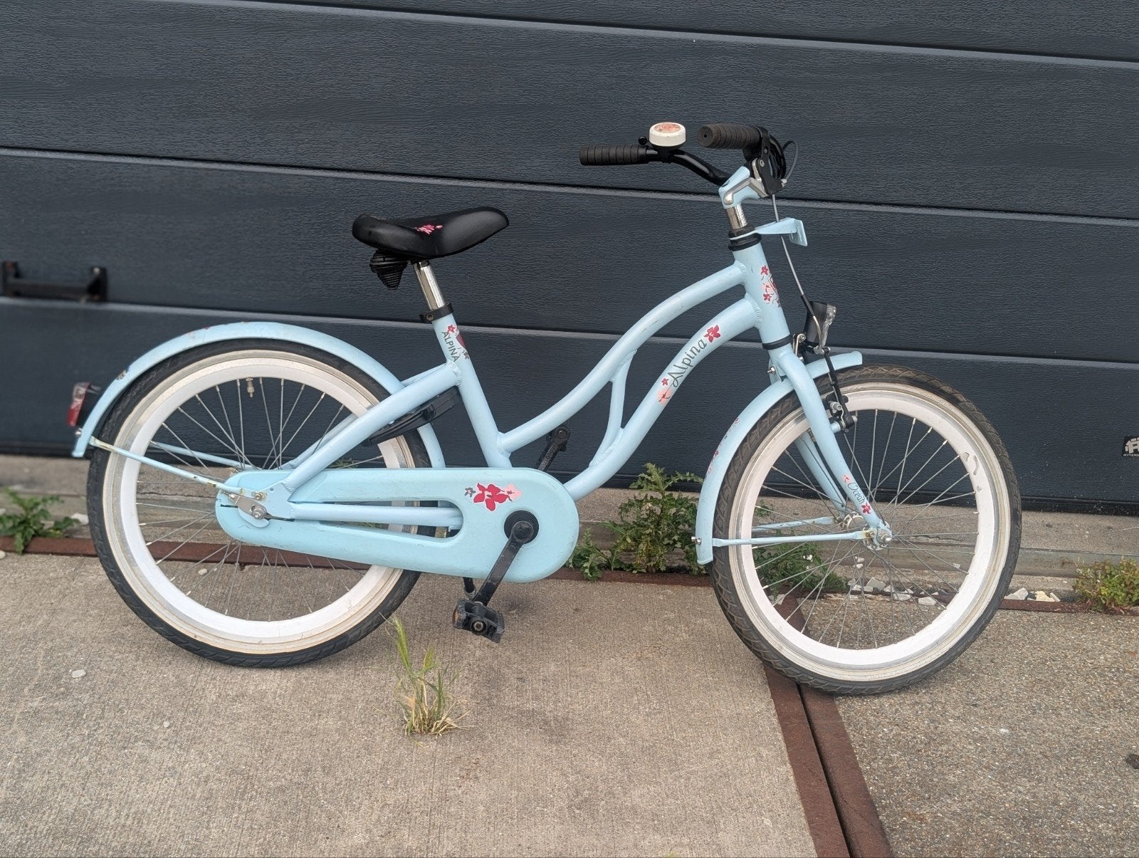 Alphina Ocean Kinderfiets,20 inch, Ophalen, Alphina, Alphina, Alphina