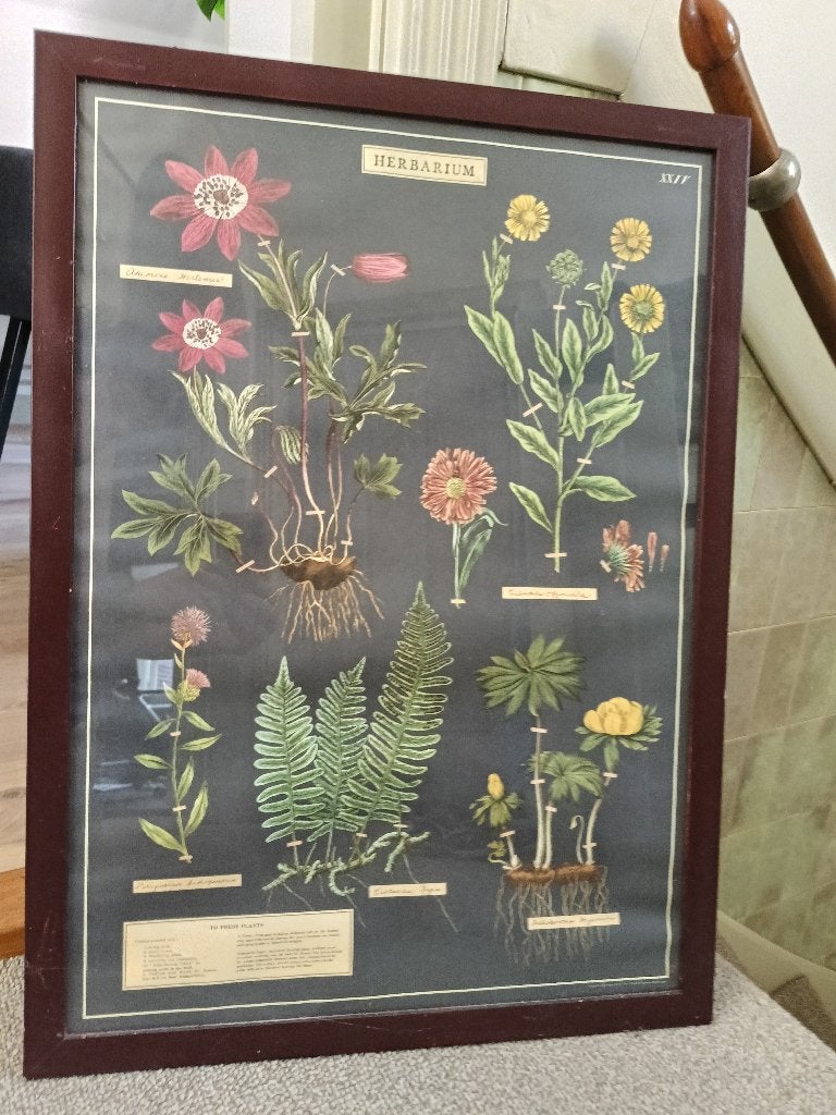 Herbarium poster, Ophalen
