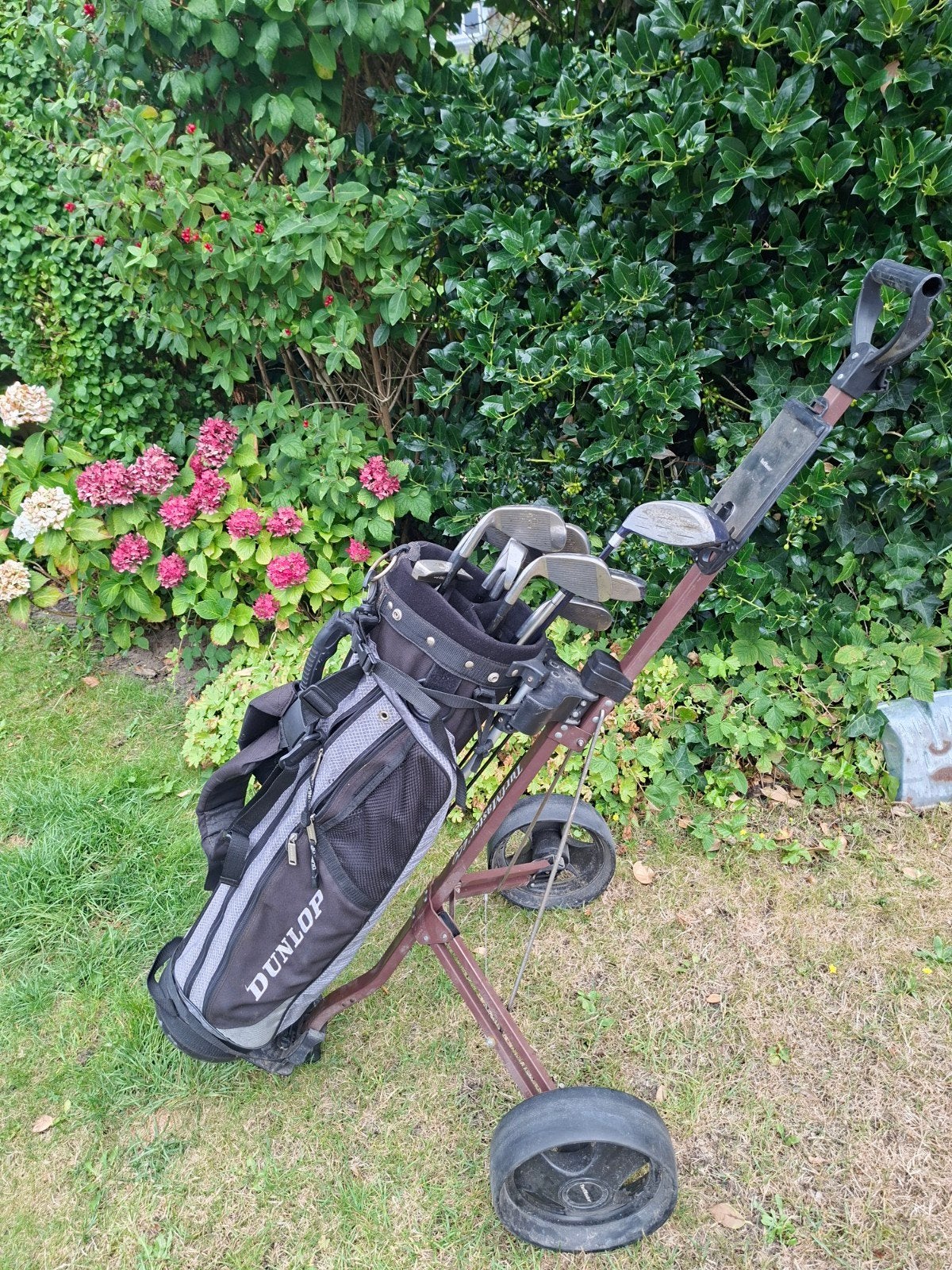 rechtshandige golfset en golftrolley, Ophalen of Verzenden, Set