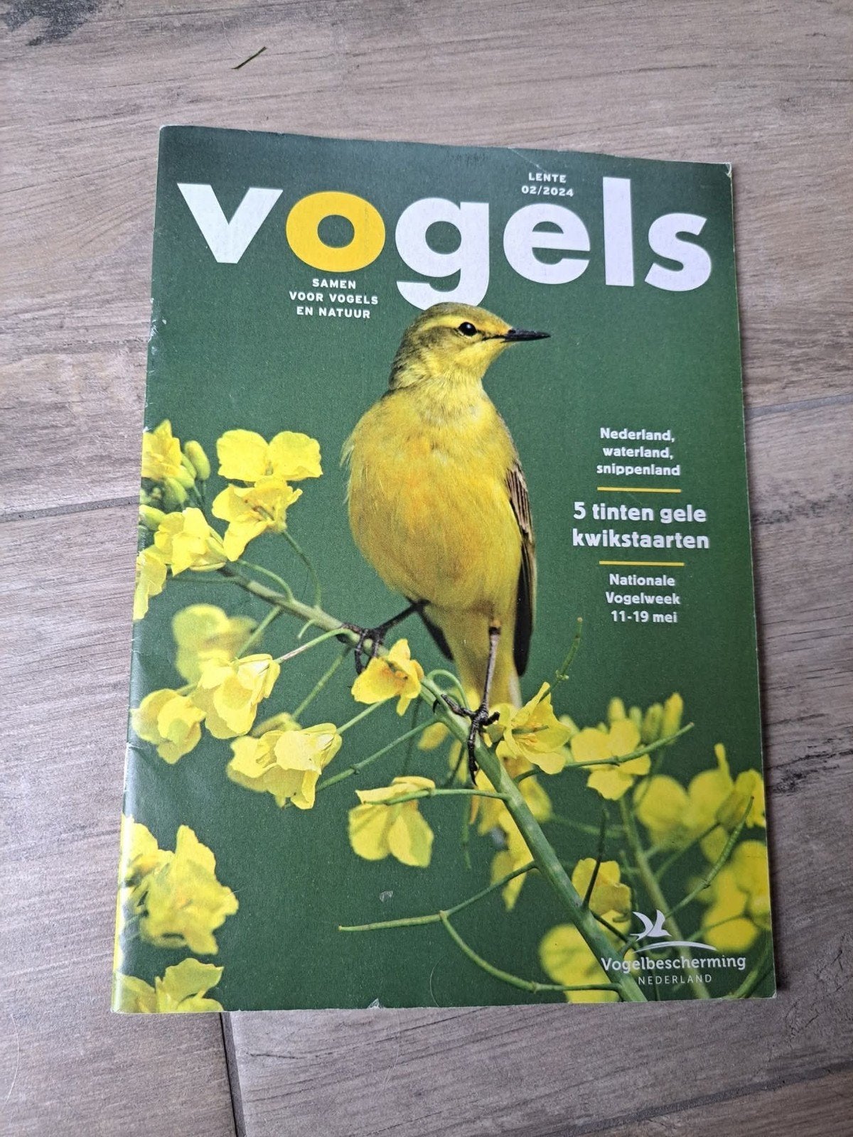 Vogels, Ophalen of Verzenden, Gelezen, Muziek, Film of Tv