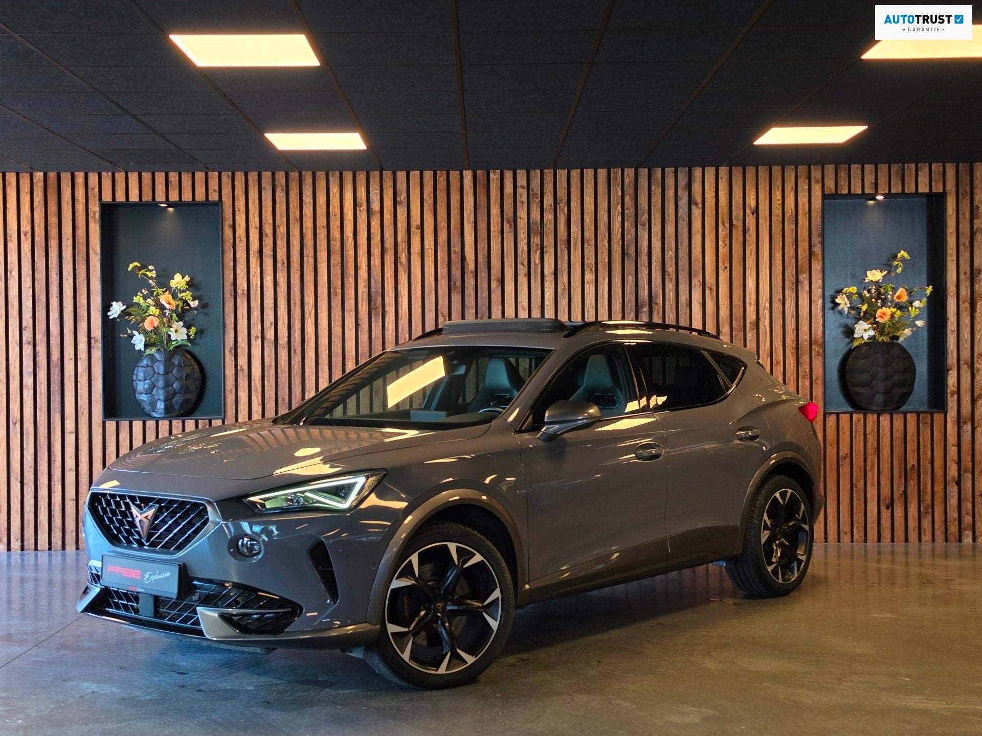 Cupra FORMENTOR 2.0 TSI 4DRIVE l Nardo l Pano l Carplay l Ku, Auto's, Cupra, Euro 6, 4 cilinders, Leder en Stof, Vierwielaandrijving