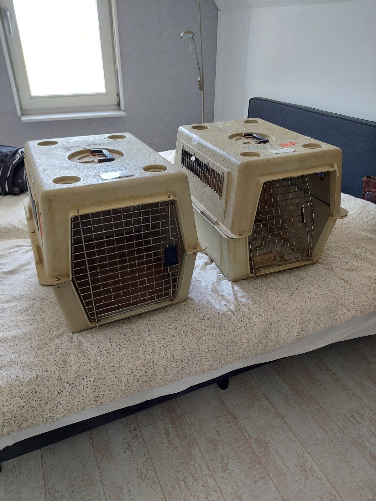 honden reis bench, Dieren en Toebehoren, Ophalen