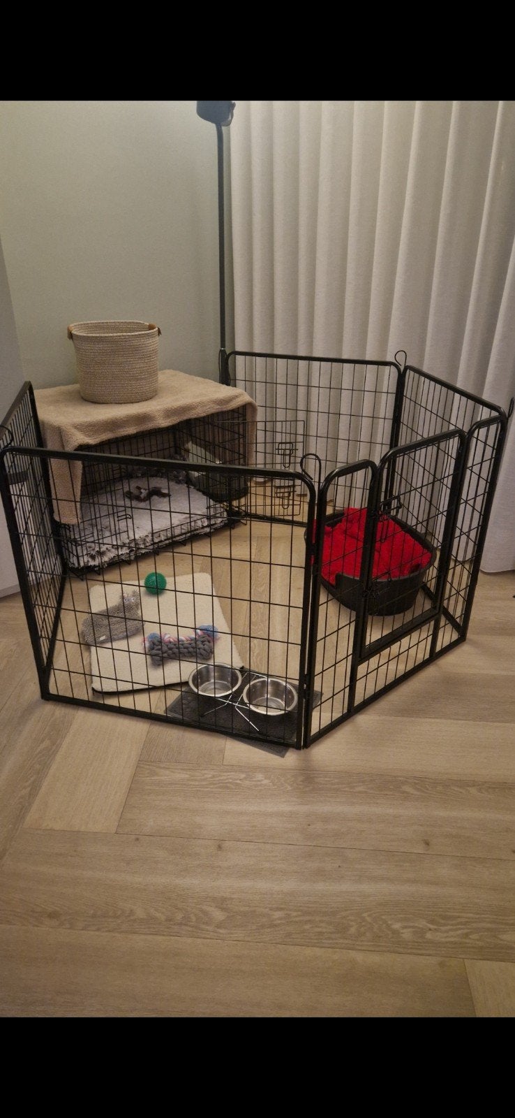 Puppyren Acaza (8 delen), 80 cm hoog., Ophalen