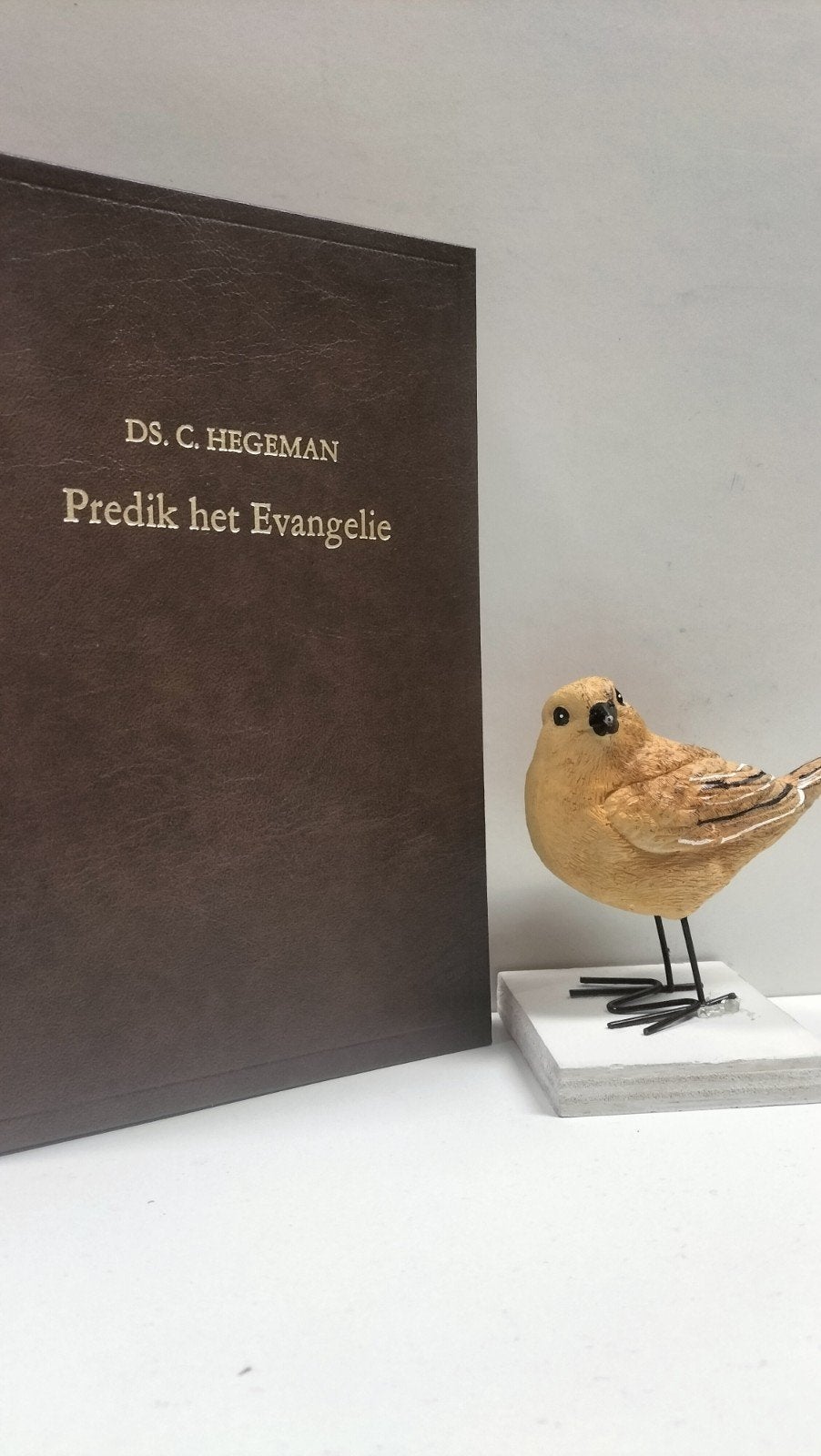 Hegeman, Ds. C. ; Predik het Evangelie, Ophalen of Verzenden, Gelezen, Christendom | Protestants