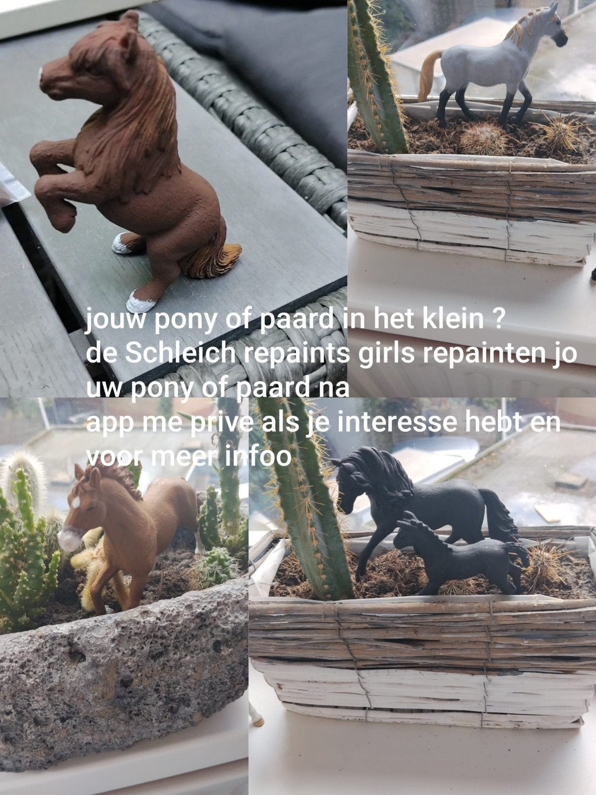 wij ripainten schleich, Ophalen of Verzenden, Interieur en Design