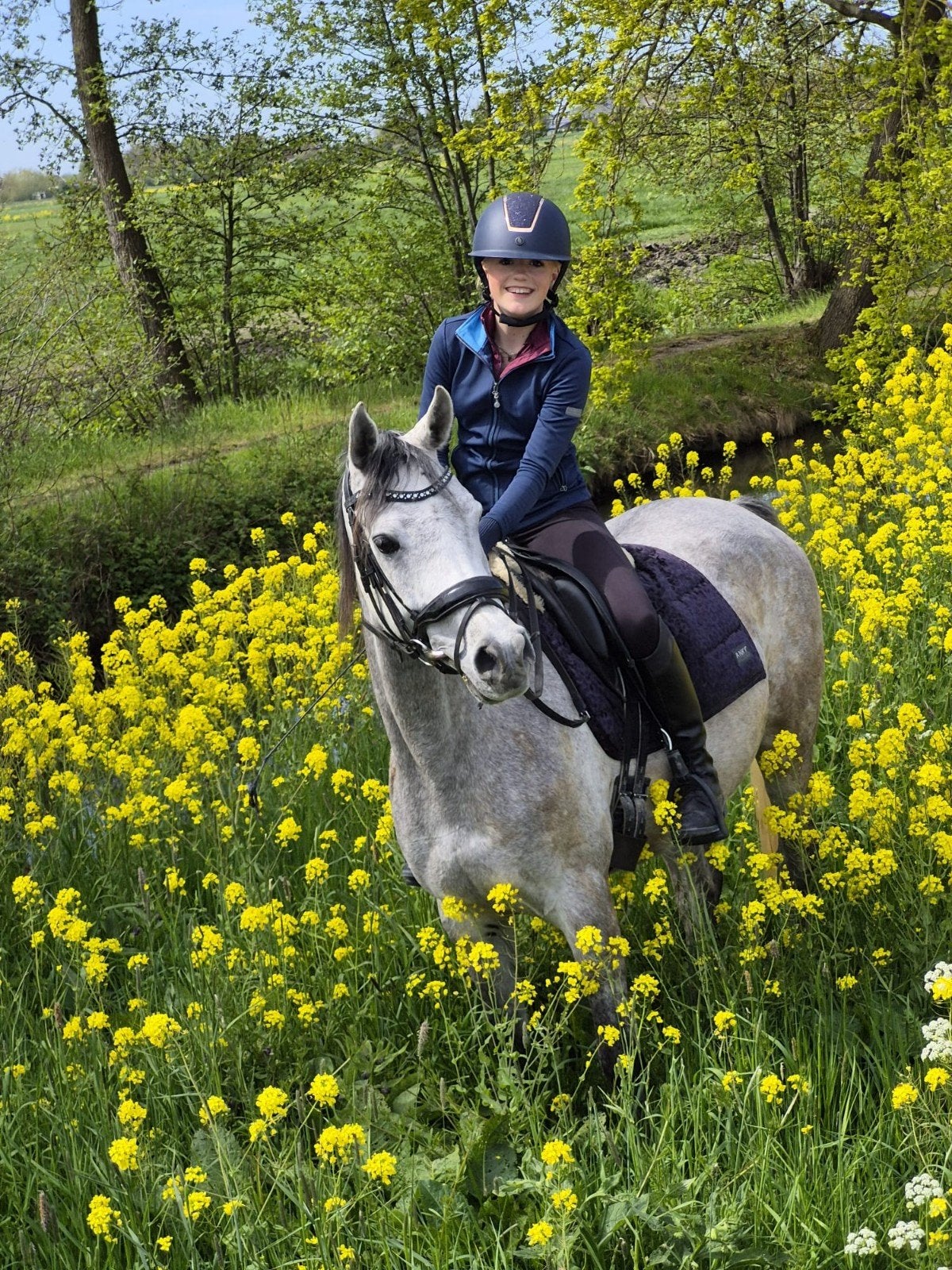 Lieve allround pony, Dieren en Toebehoren, E pony (1.48m - 1.57m), Met stamboom, B, Ruin