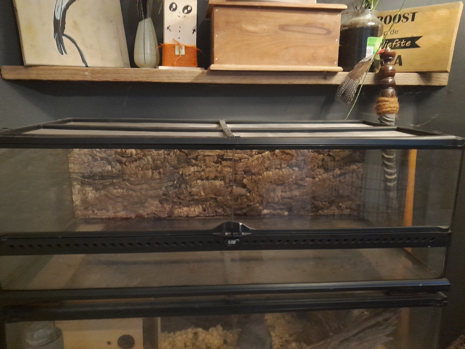 exo terrarium, Ophalen, Zo goed als nieuw