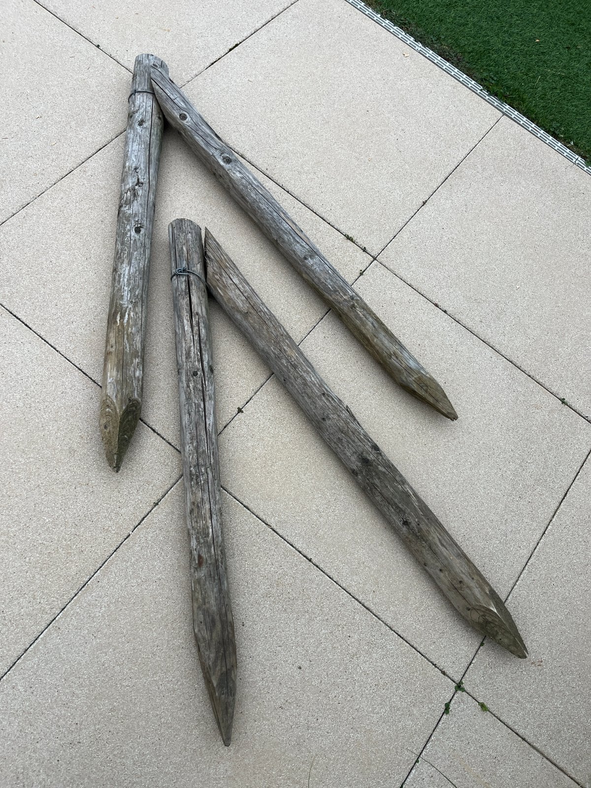 Haagpaaltjes / steunpaaltjes voor hagen/struiken, Tuin en Terras, Ophalen, Gebruikt, Minder dan 180 cm, Palen
