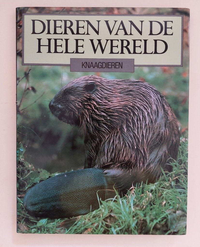 Knaagdieren (Dieren van de hele wereld), Priscilla Barrett, Ophalen of Verzenden, Zo goed als nieuw, Konijnen of Knaagdieren, Priscilla Barrett