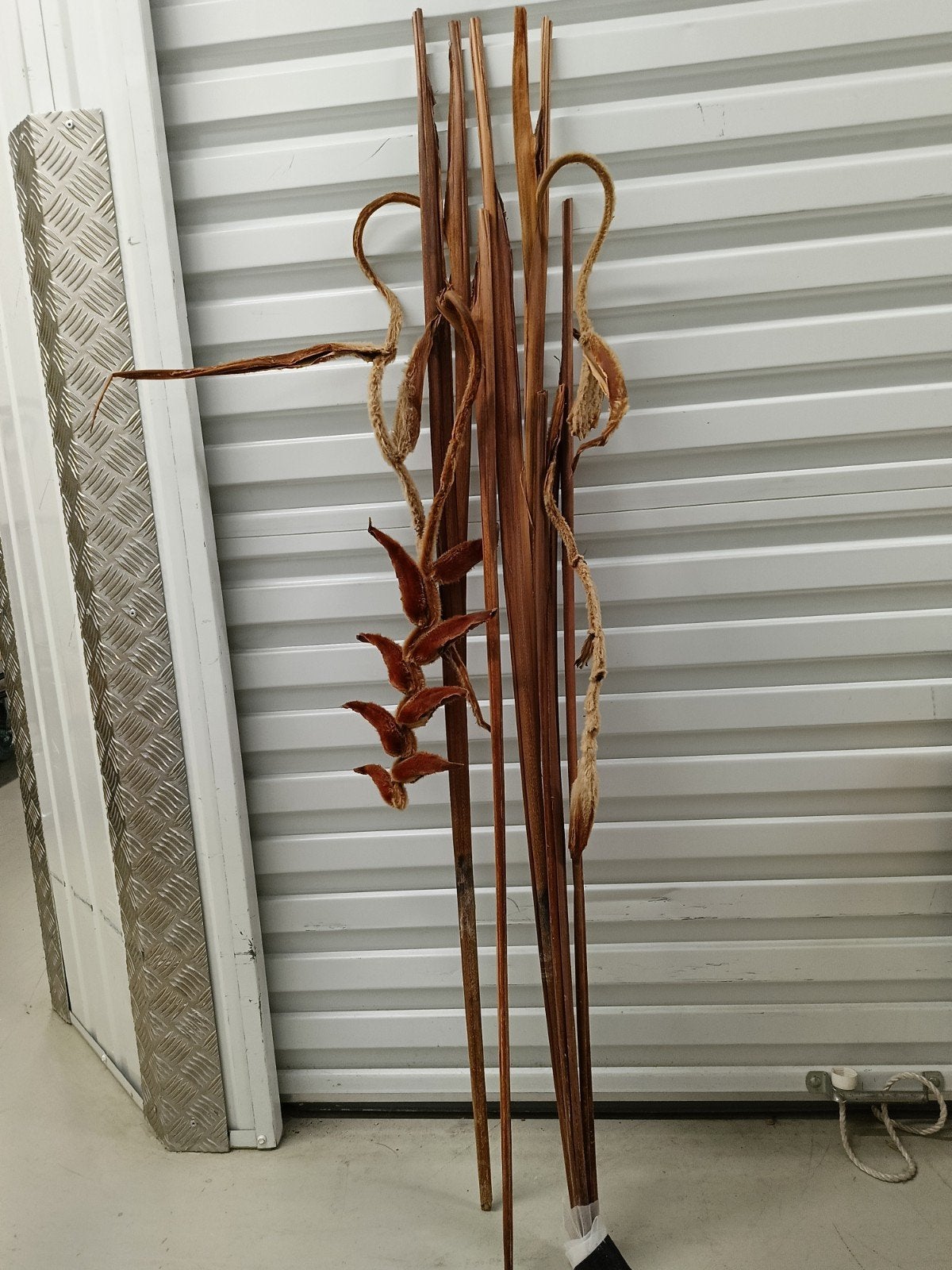 Gedroogde tropische takken Heliconia She Kong 130cm, Ophalen of Verzenden, Zo goed als nieuw