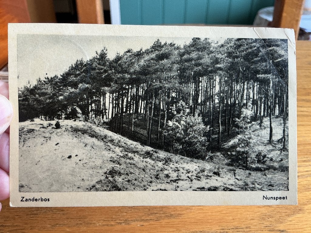 Nunspeet Zanderbos, Verzenden, 1940 tot 1960, Gelopen, Gelderland