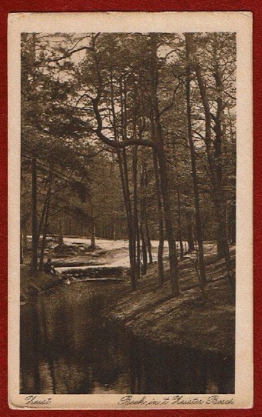 Zeist - Beek in 't Zeister Bosch - 1920 (pst.st. Zeist), Ophalen of Verzenden, 1920 tot 1940, Gelopen, Utrecht